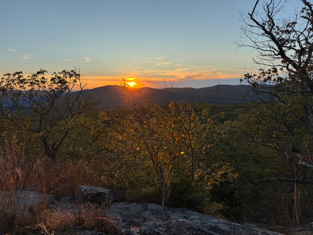 Microadventure #1: A Night in the&nbsp;Woods