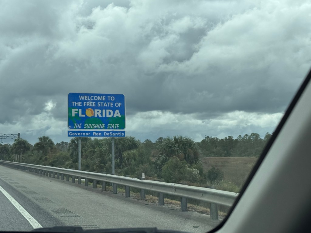 Driving Through the&nbsp;Night