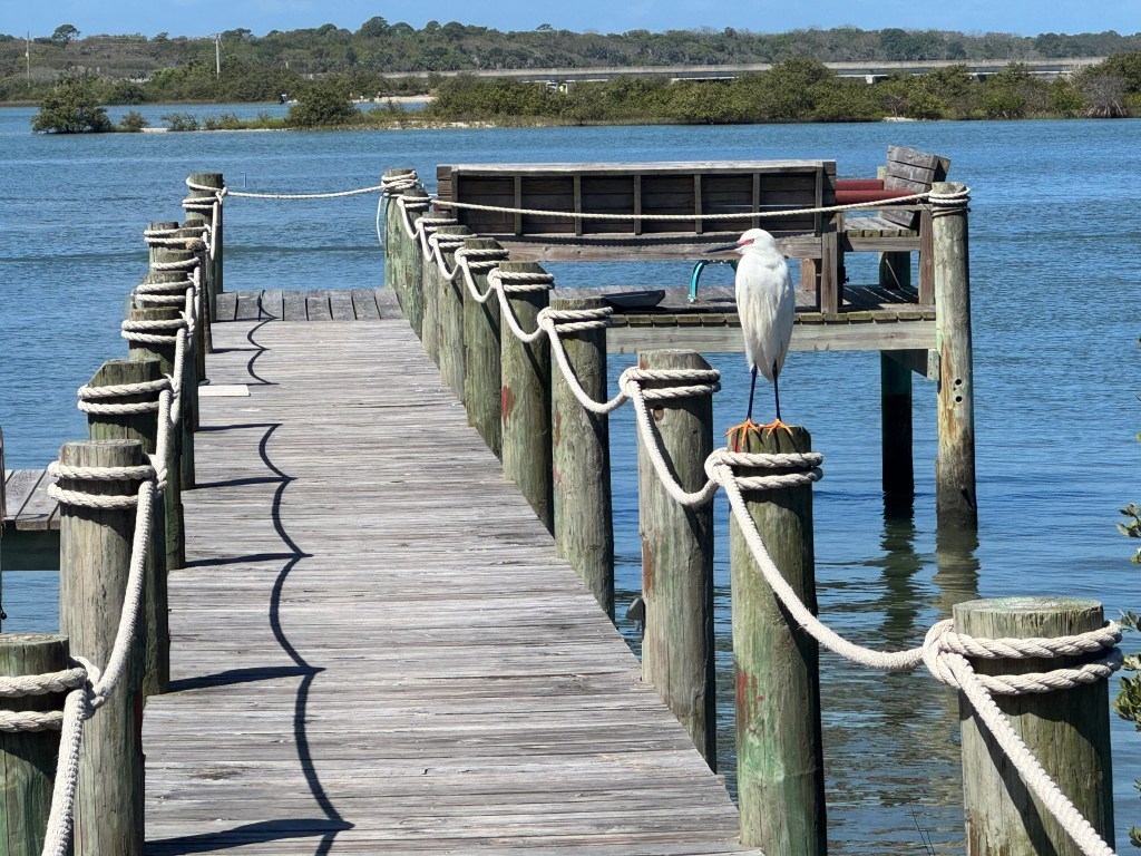 No Progress, No Regrets